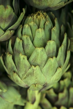 artichokes