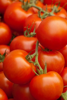 tomatoes