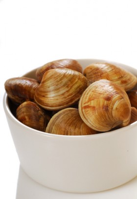 clams
