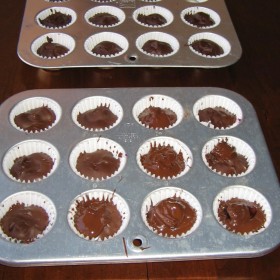 Minis