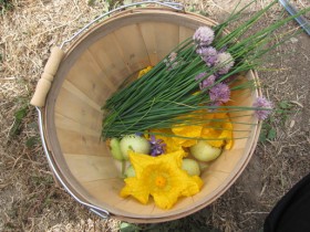 basket_of_vegetables basket_of_vegetables