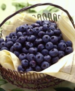 Blueberry-Beauty-Basket-280x364