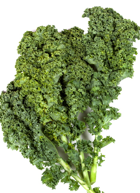 Kale leaves isolated on white background.