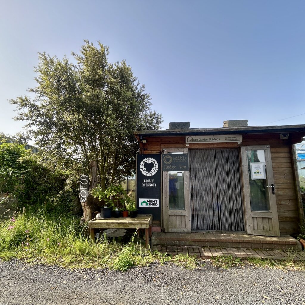 A small wooden building with a bench and a tree