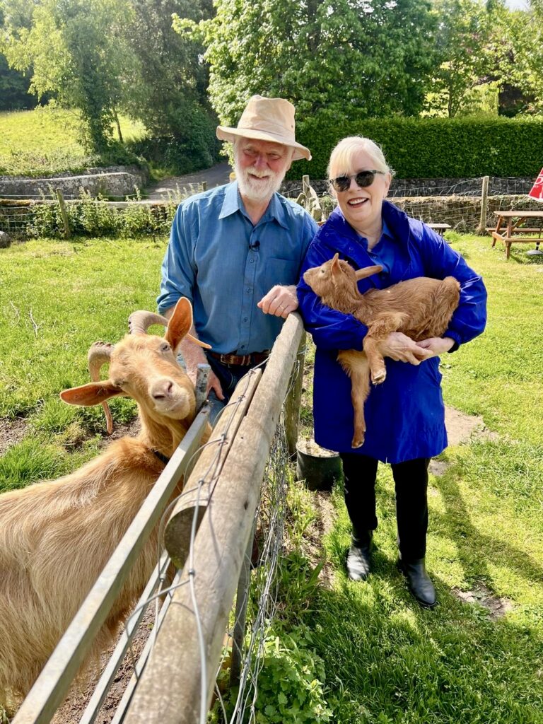 A man and woman holding goats